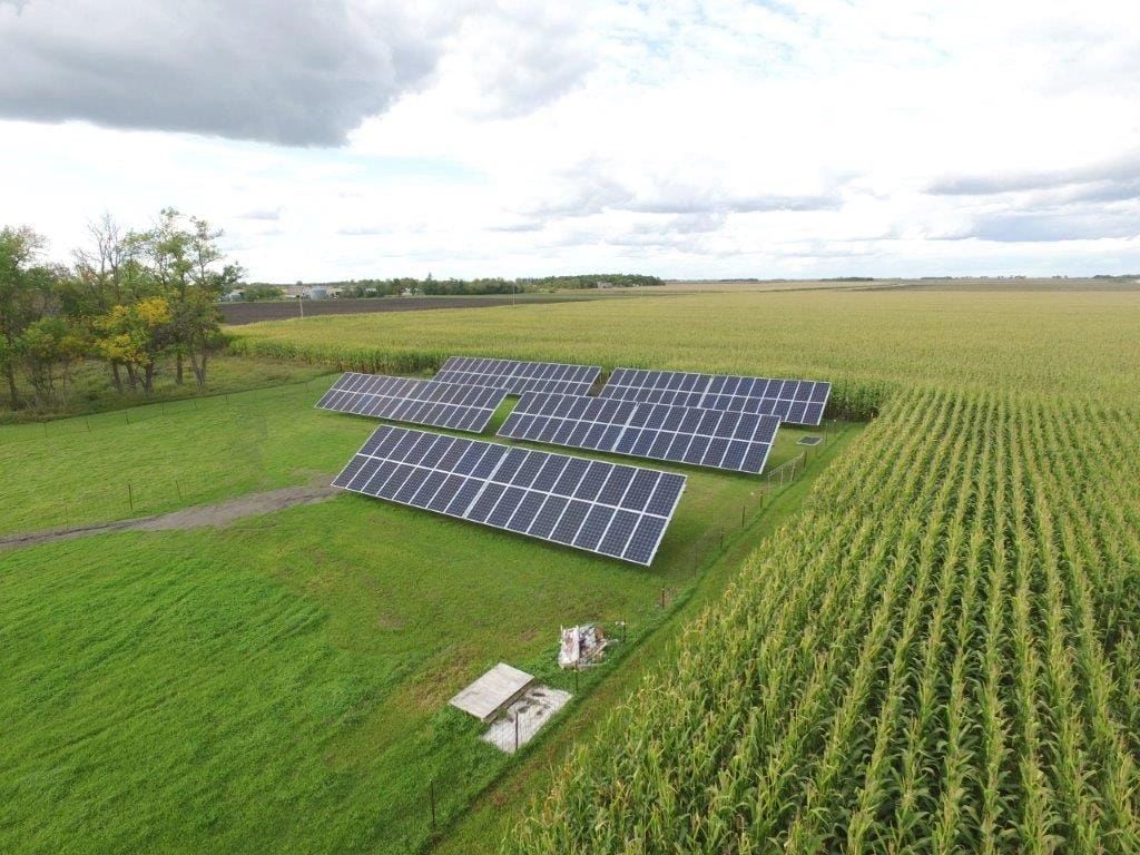 Solar Panels on a Minnesota Farm in a Green Cornfield