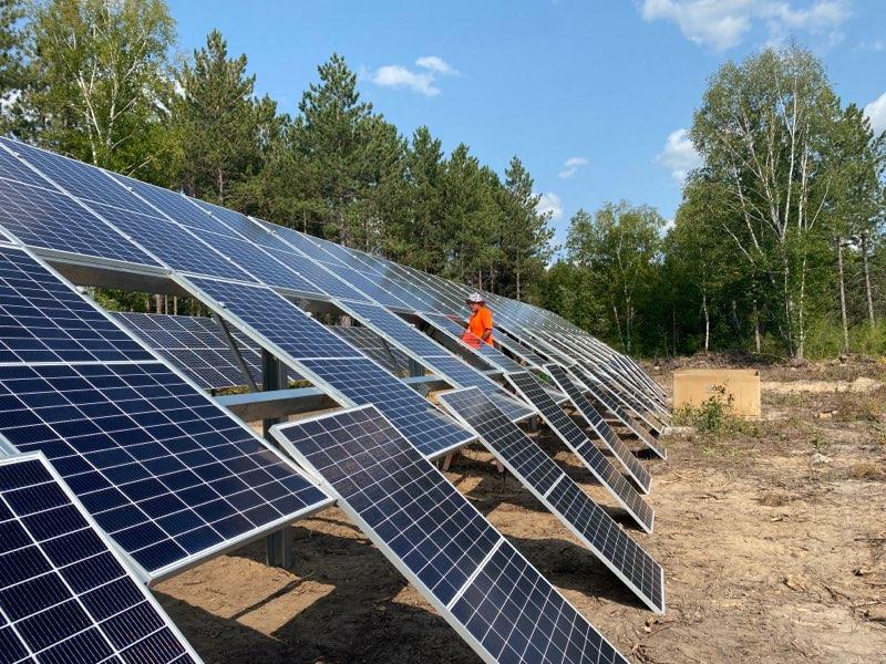 Ground mounted solar panels in the forest